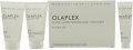 Olaplex Treatment Kit 3 Step Gift Set 15ml Bond Multiplier + 15ml  No.2 Bond Protector + 15ml No.3 Bond Protector