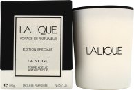 Lalique Candle 190g - La Neige Terre Adelie Special Edition
