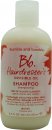 Bumble & Bumble Hairdresser's Invisible Oljschampo 250ml