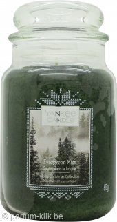 Yankee Candle Evergreen Mist Candle 623g - Large Jar