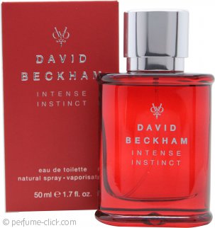 david beckham instinct 100ml